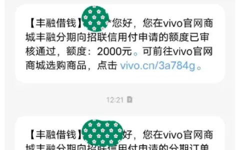 vivo 丰融分期解锁 2000 元消费额度，多年尝试终成功，额度使用规则与实操详解