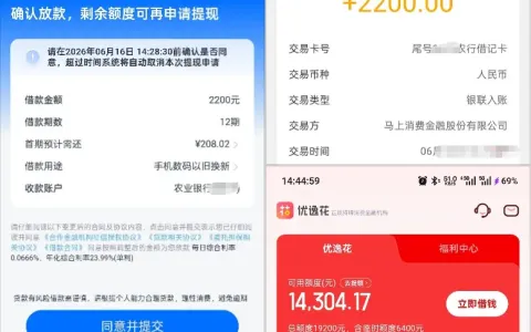 安逸花 8800 元总额度实测，优逸花有额度提现失败，同手机号跨平台申请技巧分享