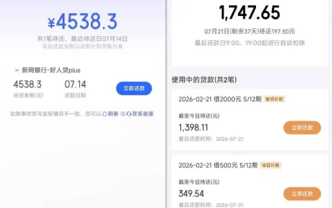 京东金条上线新网银行放款通道，4000 元额度成功下款，账号实测与操作细节分享
