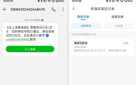 安逸花多年首次获批 2000 元额度，实际仅放款 500 元，微信小程序申请实操分享