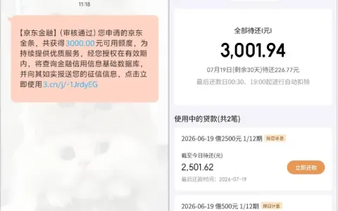 京东金条结清后 1000 额度屡借失败，官方推送重新核额，3000 元分 12 期双资方秒到账