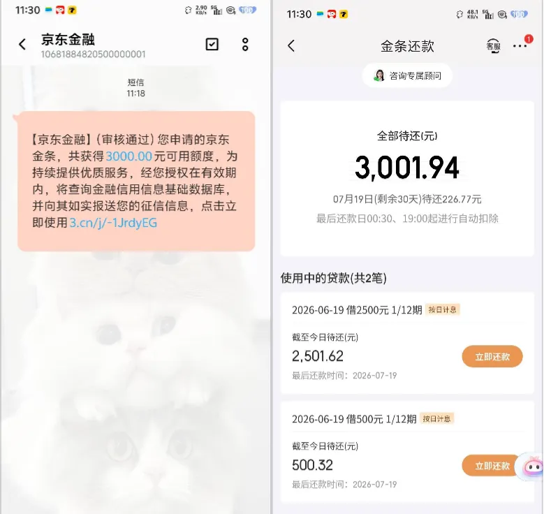 京东金条结清后 1000 额度屡借失败，官方推送重新核额，3000 元分 12 期双资方秒到账