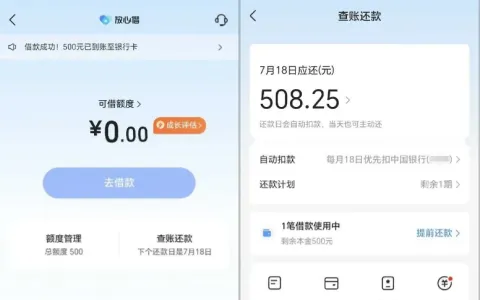 放心借抖音入口屡申无资格，换皮皮虾渠道提交，500 元单期借款顺利到账经验分享