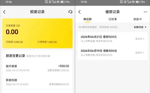 美团借款匹配马上消费金融资方，两天分批提额至 1000 元，小额申请秒批到账实测分享