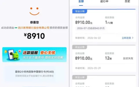 美易借钱近半年申请次次秒拒，开通会员匹配新网银行，8910 元分 12 期顺利放款