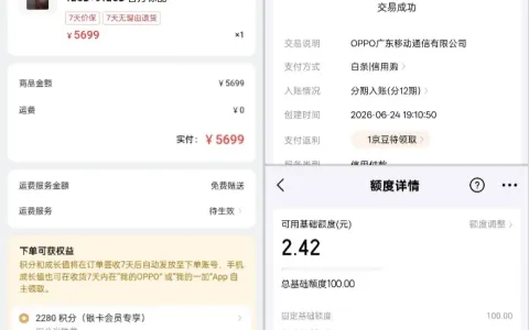 京东白条长期仅 100 元基础额度，OPPO 商城下单 5699 元手机，分 12 期信用购支付一次成功