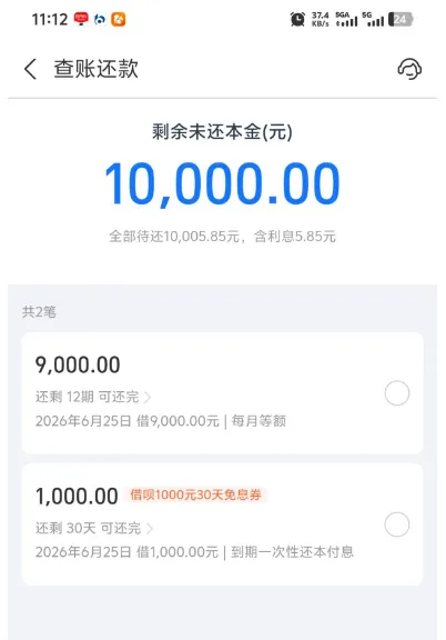 借呗风控半年后恢复支用，两笔合计 10000 元顺利到账，含 30 天 1000 元免息权益