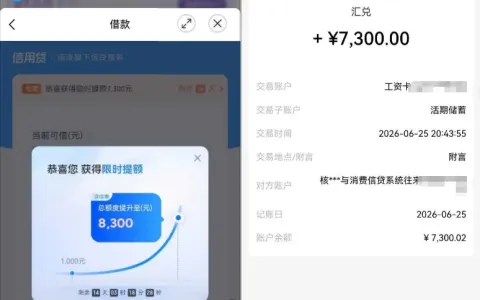 滴滴滴水贷长期固定 1000 额度获 7300 临时提额实测反馈，限时额度成功下款与不同用户申请差异分享