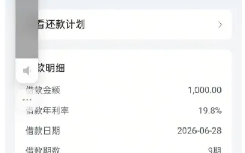 抖音放心借 1000 元分 9 期顺利放款，双持牌机构联合出资，小额应急申请实测分享