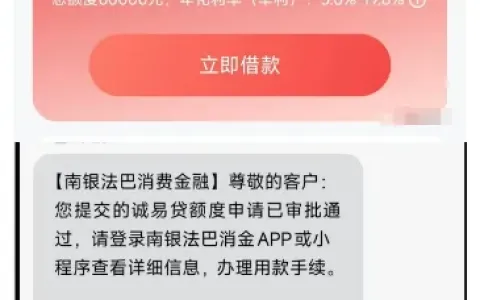 南银法巴消费金融诚易贷实测：6 万额度可分 60 期，申请需查征信，通过率因人而异