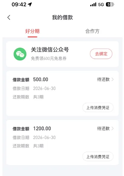 好分期注销重注册连下两笔借款，结清多笔存量负债，开通会员提额 500 元顺利支用