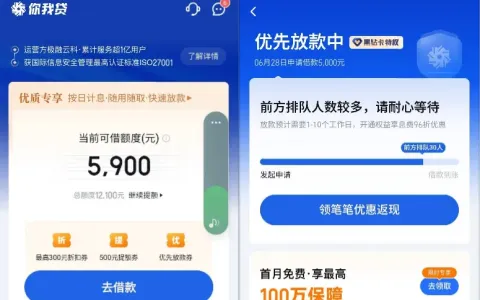 你我贷总额度 12100 元支用 5000 元排队三天，剩余额度跳转借款优选，放款时效与规则说明