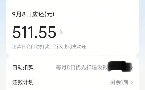 抖音放心借多次申请暂无额度，切换皮皮虾入口获批500元，跨渠道申请实测参考分享