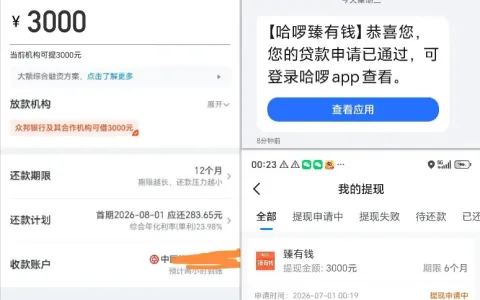 哈啰臻有钱 3000 元申请进入审核，众邦银行出资年化 23.98%，放款稳定性因人而异
