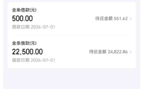 京东金条注销数月后恢复 23000 元额度，征信查询频繁无逾期，双资方五分钟完成放款
