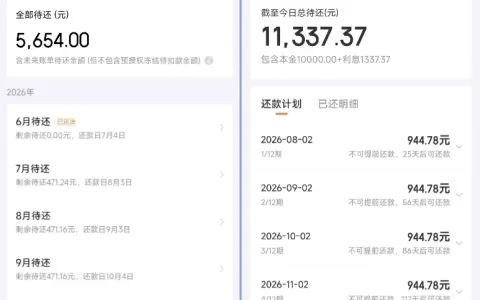 京东金条与白条合计取现 1.5 万元，年化利率 24%，提前还款有时间限制需留意