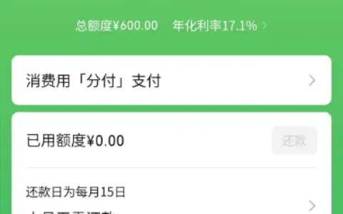 微信分付成功开通 600 元初始额度，年化 17.1% 按日计息，开通资格与提额经验参考