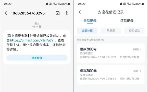 安逸花结清注销后重新申请获批，两笔各 3000 元合计 6000 元顺利到账，资方为外贸信托