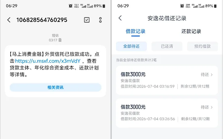 安逸花结清注销后重新申请获批，两笔各 3000 元合计 6000 元顺利到账，资方为外贸信托