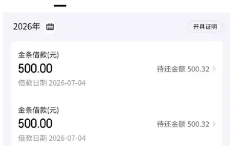 京东金条此前申请多次秒拒，本月审核有所放宽，两笔各 500 元借款快速到账