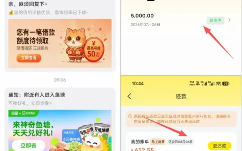 闲鱼入口申请借款获批 5000 元，资方为马上消费金融，征信偏花无逾期可过审