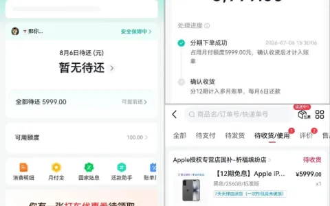 抖音月付初始仅 100 元额度，注销两月后商城购机获批 5999 元 12 期免息