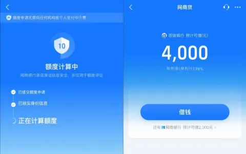 网商贷每月尝试终出可用额度，百信银行 4000 元搭配网商银行 2000 元，征信查询多也可过审