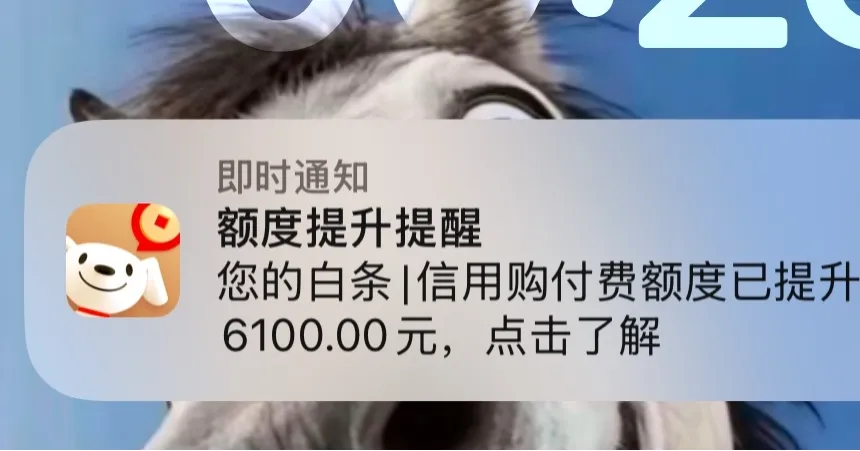 京东白条付费额度开通 79 元会员、浏览安卓机型能提升额度，这套操作靠谱吗