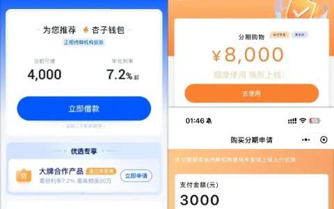 中原消费金融推荐杏子钱包预估 4000 元额度，实为分期购物商城，每天显示：今日额度已用完