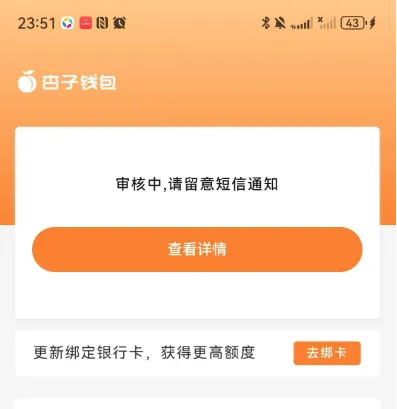 杏子钱包提交申请长时间卡在审核中,等待几天依旧不出额度是什么原因 杏子钱包提交申请长时间卡在审核中,等待几天依旧不出额度是什么原因