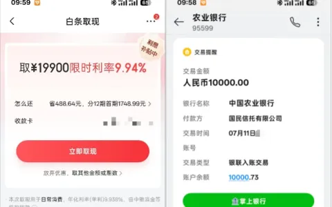 白条基础额度仅 100 元，取现额度竟达 2.99 万，利率 9% 左右取现 1 万元亲测分享
