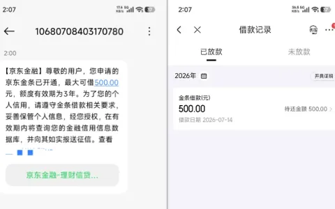 京东金条小号申请成功下款 500 元，白条逾期结清有呆账也能开通