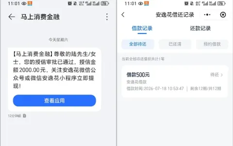 马上消费金融安逸花授信 2000 元，实际下款 500 元解燃眉之急，放款与征信规则说明