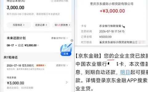 京东金融企业主贷 3000 元随借随还，白条取现失败可申请，逾期不还有哪些影响？