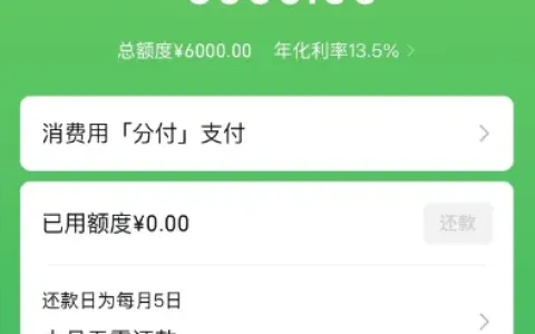 京东金条、网商贷申请接连秒拒，微信分付实测开通 6000 元消费额度