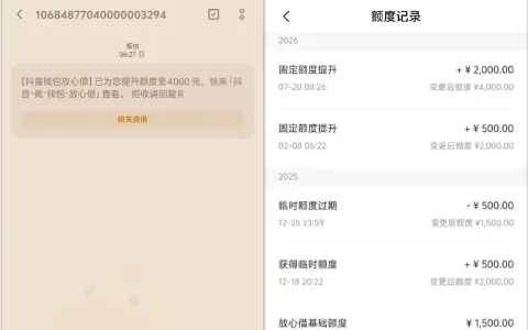 放心借成功出黑屋借款 2000 元秒到，提交微信账单提额至 4000 元，征信有呆账也可通过参考
