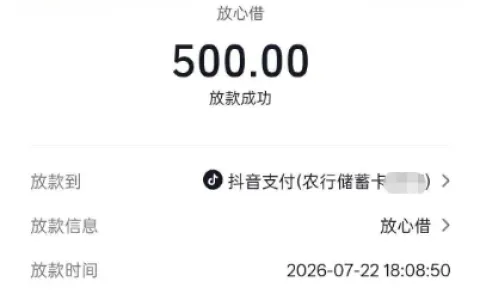 放心借 500 小额额度成功到账：信用有瑕疵也能出额的申请实操与经验分享