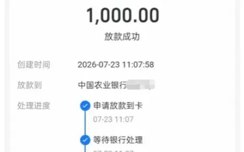借呗 1000 元顺利到账：放心借仅余小额额度，美团借款暂无法使用的风控差异说明