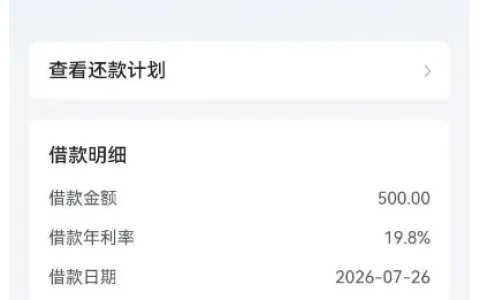 放心借多次申请终获审批，500 元小额额度到账，短期应急周转实测分享