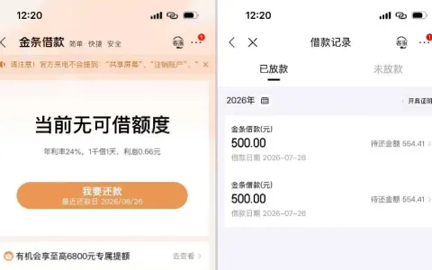 京东金条长期显示车贷无信用额度，今日获批 1000 元，两笔 500 元秒速到账实测