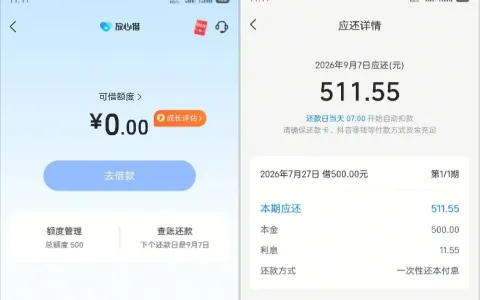 征信存在代偿与呆账记录，放心借获批 500 元额度秒速到账，中融资方单期还款实测