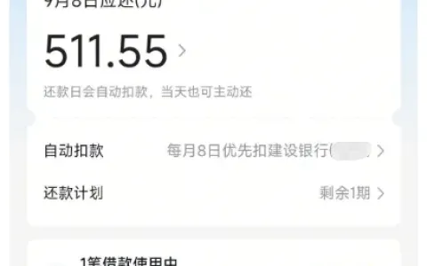 征信有连三累六记录仍可通过，放心借 500 元借款秒到账，更换手机号走皮皮虾入口实测