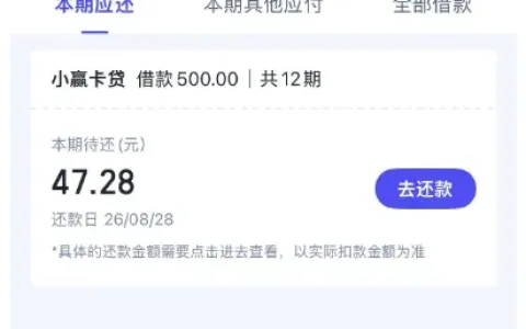 小赢卡贷提交 2 万元借款申请仅获批 500 元，分 12 期还款，平台放款状态实测汇总