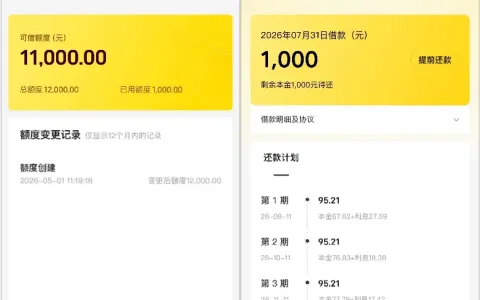 美团借钱五月获批 12000 额度始终无法支取，时隔三月申请下款 1000 元，征信有代偿也可通过实测