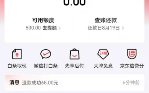白条逾期十年还清本金后还能重开吗？实测通过 12306 渠道成功开出 500 额度