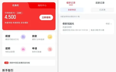 安逸花有额度却借不出试试优逸花有用吗？征信差有代偿实测成功下款 1500 元