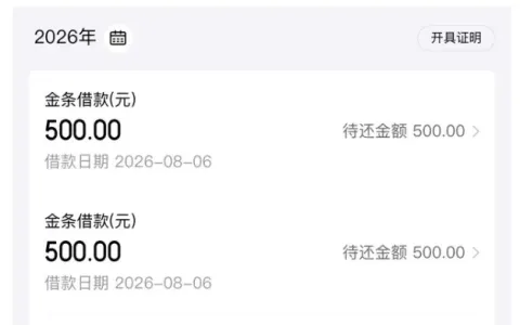 京东金条 1000 元借款顺利获批，拆分两笔 500 元分批到账，小额放款规则实测解析