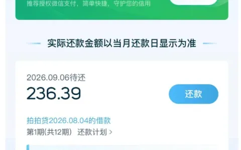 拍拍贷长期申请均被拒，更新 2500 元额度后顺利放款，等待两天成功到账实测