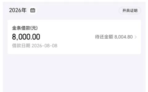 征信偏花无严重逾期多产品拒批，京东金条 8000 元借款全程 3 分钟到账，夜间申请实测参考