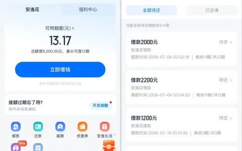 其他信贷平台均无法使用，安逸花 6000 元额度可循环支用，剩余小额额度也能顺利放款